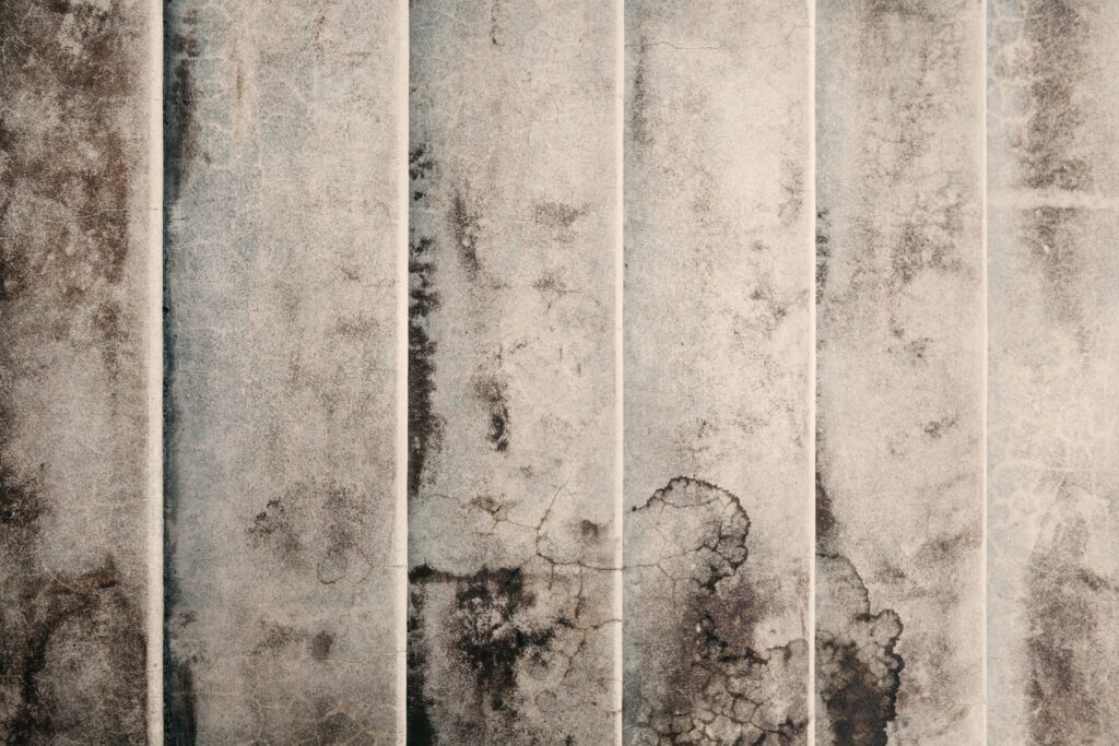 mold