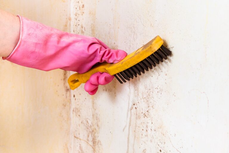 Mold cleaning